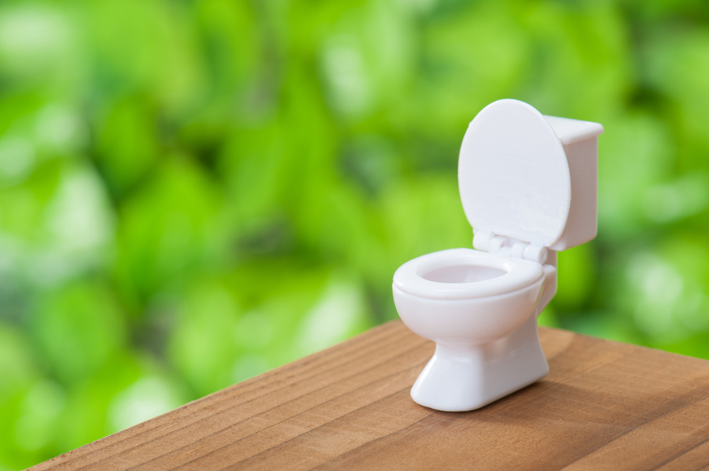 トイレの異臭は3種類 原因を特定する方法と臭いを消す方法を解説 リスクベネフィット
